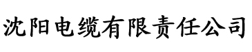 深夜a级毛片免费视频电缆厂logo